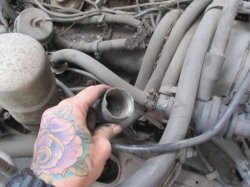 190718 80 Pontiac Trans Am (4).JPG